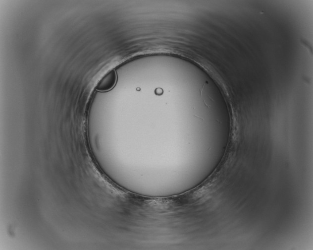 X0000103430805200809261729