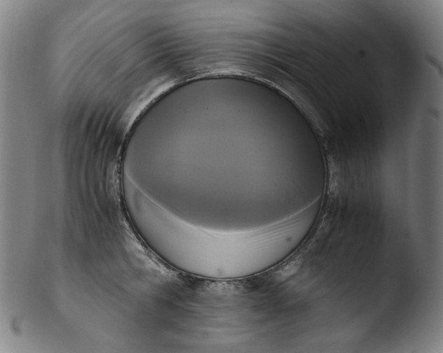 X0000103430806200809261729