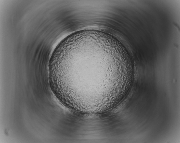 X0000103430808200809261729