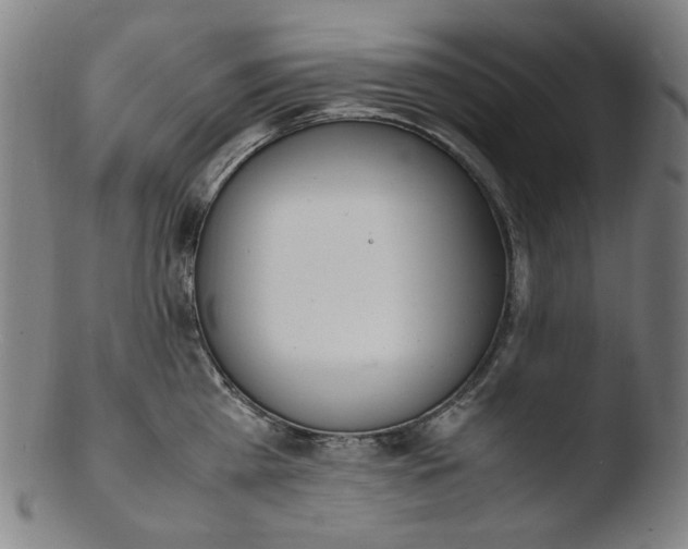 X0000103430809200809261729