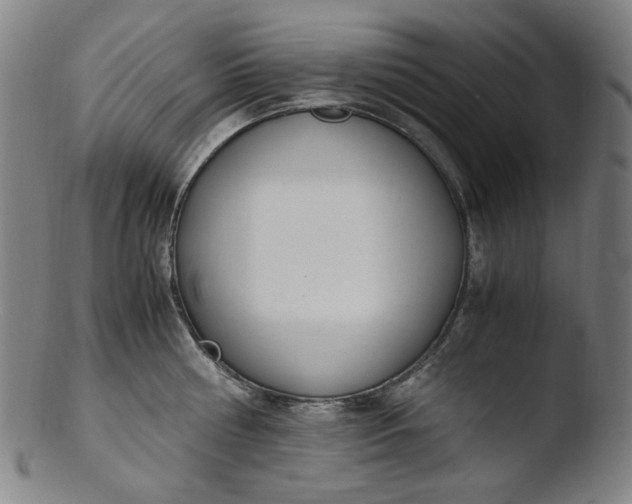 X0000103430810200809261729