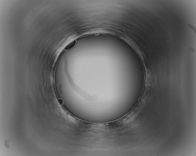 X0000103430813200809261729