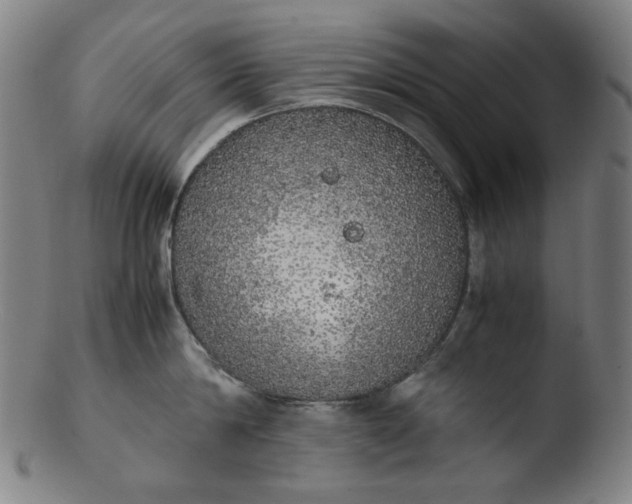 X0000103430814200809261729