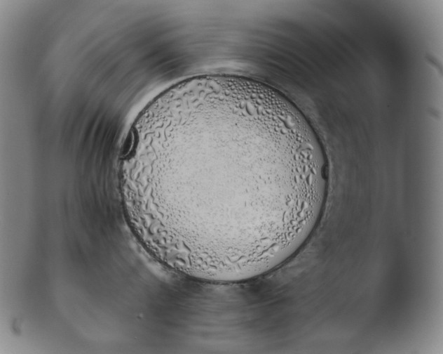 X0000103430816200809261729