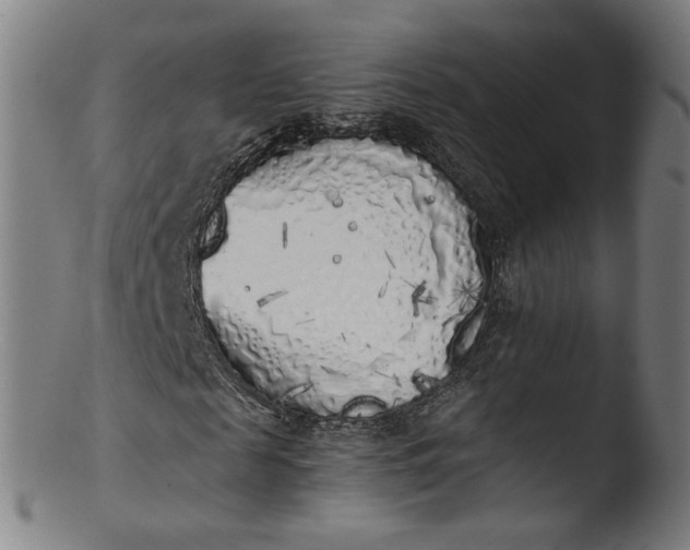 X0000103430817200809261728