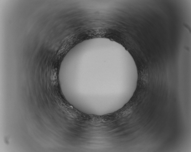 X0000103430818200809261728