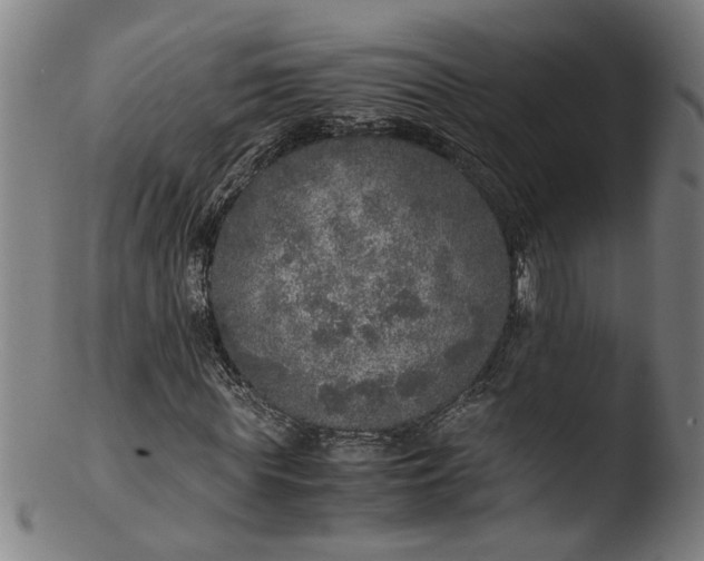 X0000103430819200809261728