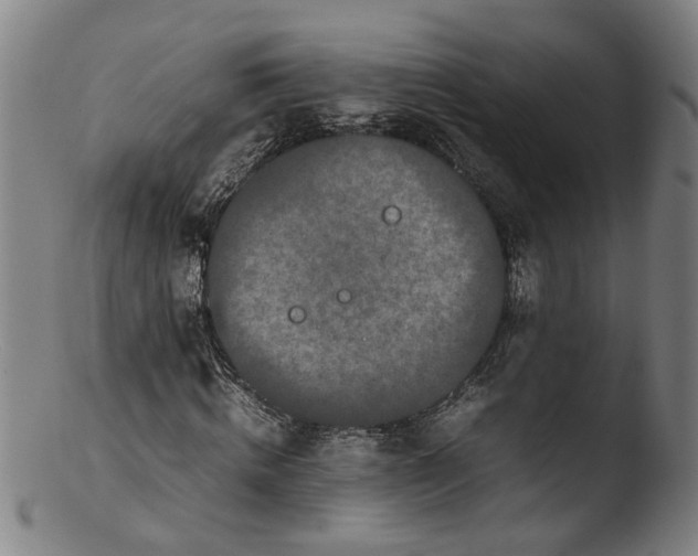 X0000103430820200809261728