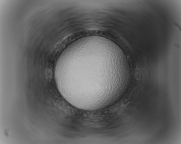 X0000103430821200809261728