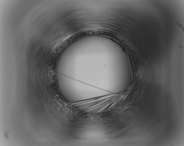 X0000103430822200809261728