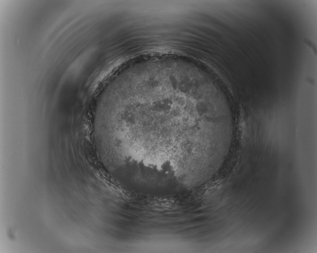 X0000103430823200809261728