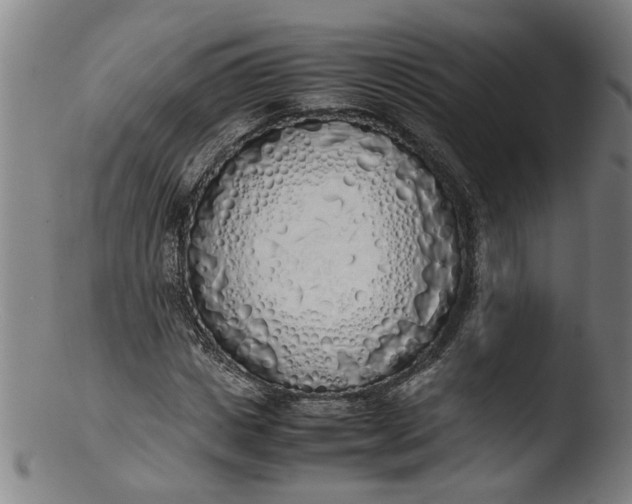 X0000103430825200809261728