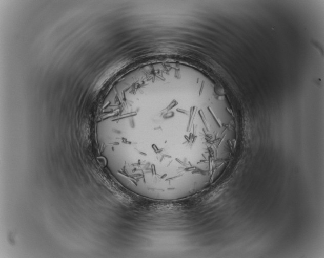 X0000103430826200809261728