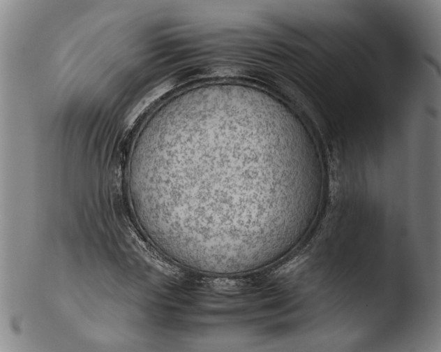 X0000103430827200809261728