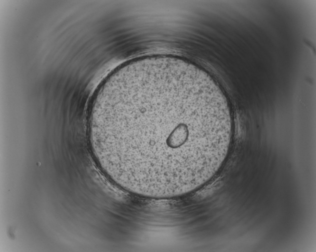 X0000103430828200809261728