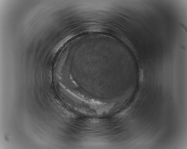 X0000103430829200809261728