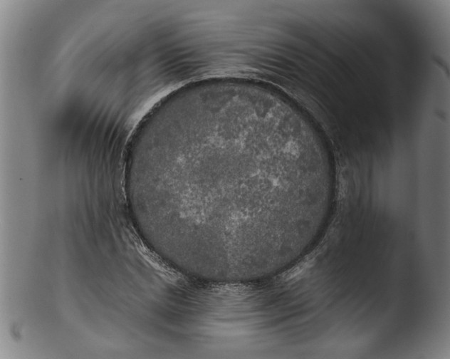 X0000103430830200809261728