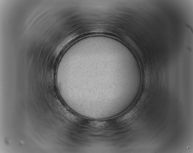 X0000103430831200809261728