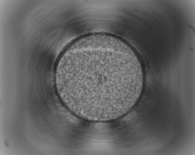 X0000103430832200809261728