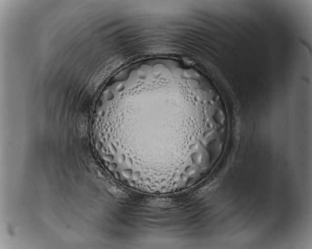 X0000103430833200809261728