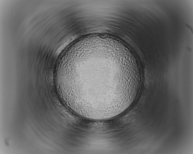 X0000103430834200809261728