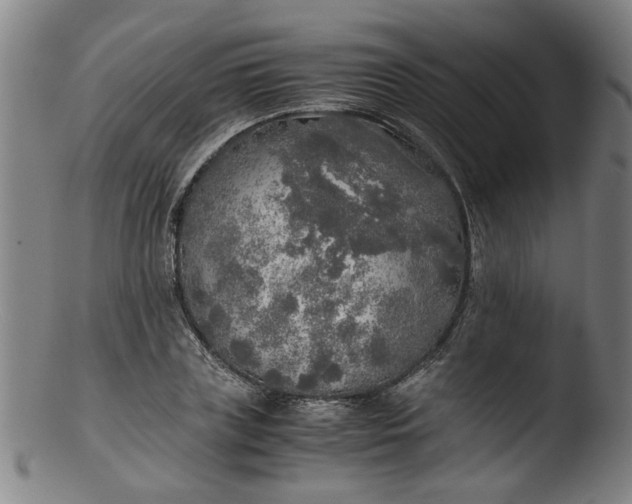 X0000103430835200809261728