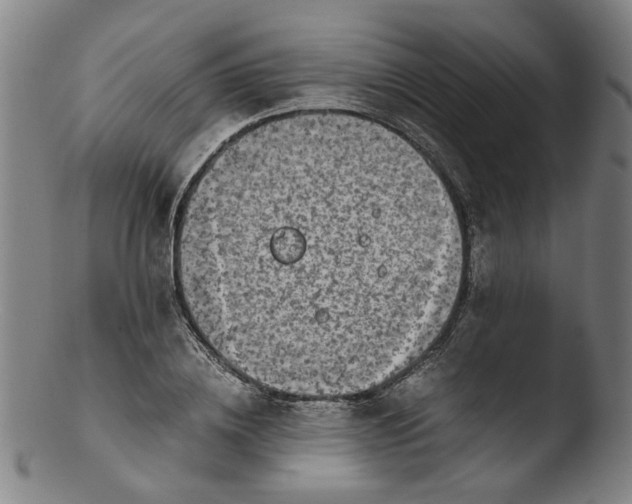 X0000103430836200809261728