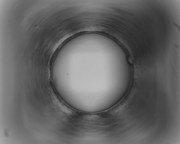 X0000103430837200809261728