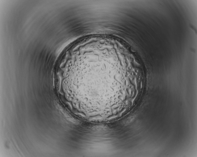 X0000103430838200809261728