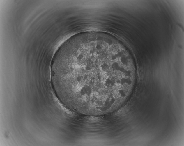 X0000103430839200809261728