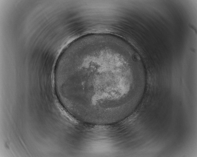 X0000103430840200809261728