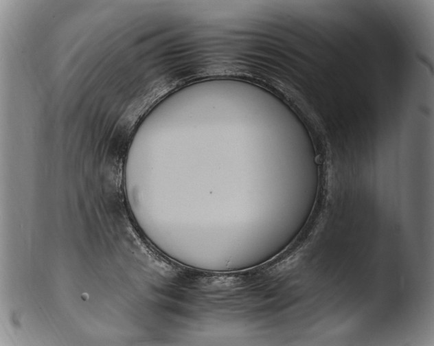 X0000103430841200809261728