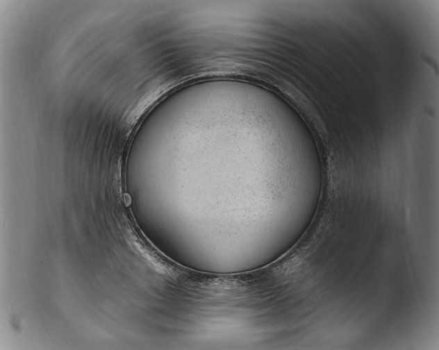 X0000103430842200809261728