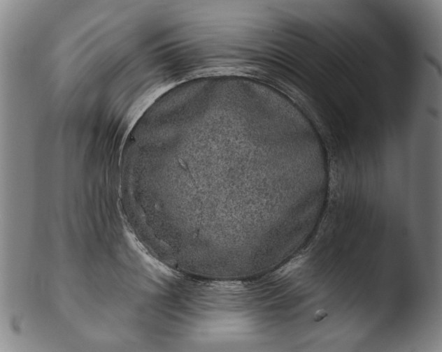 X0000103430844200809261728