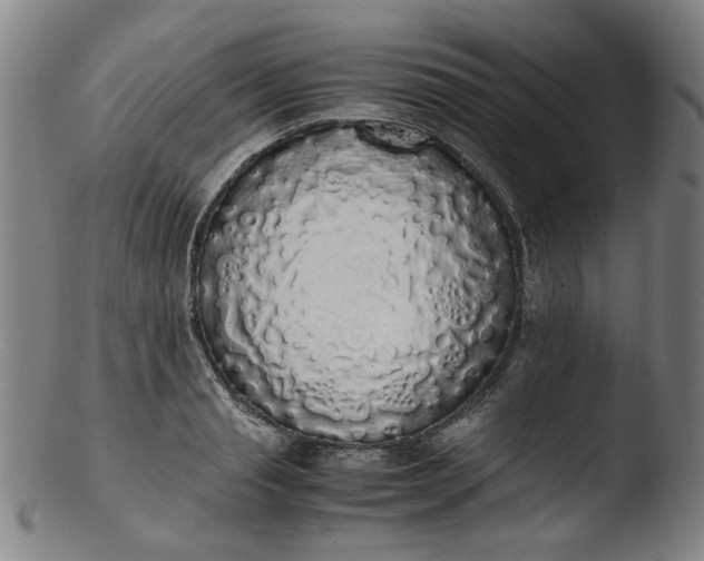 X0000103430845200809261728