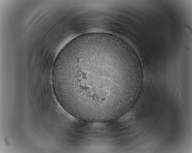 X0000103430847200809261729