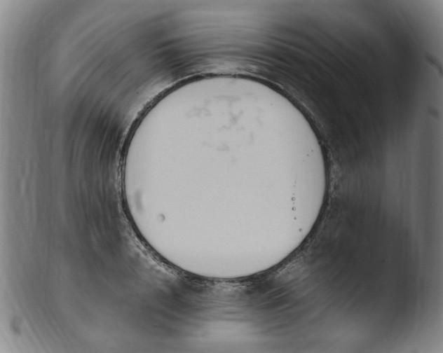 X0000103430848200809261729