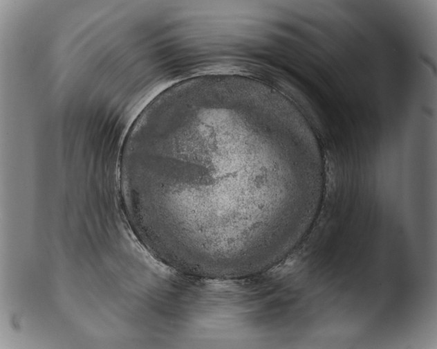 X0000103430852200809261729