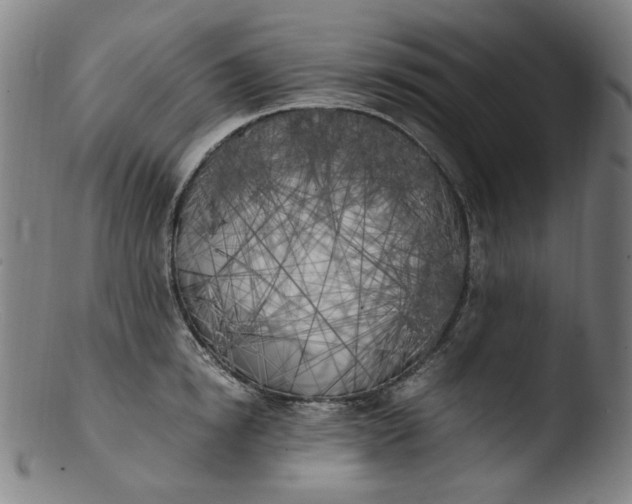 X0000103430854200809261729