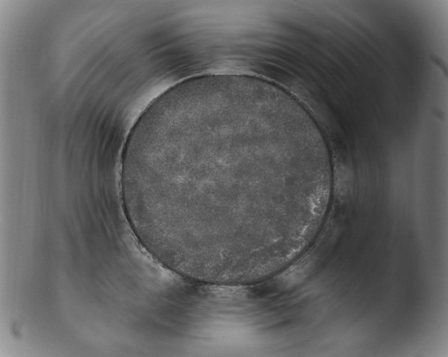 X0000103430856200809261729