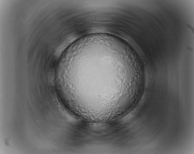 X0000103430857200809261729