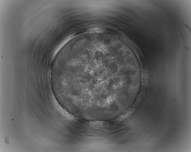 X0000103430859200809261729