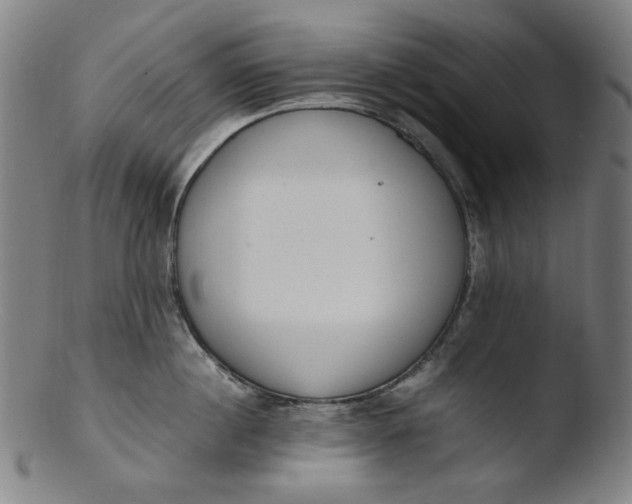 X0000103430860200809261729