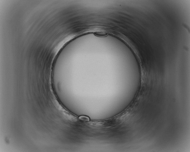 X0000103430861200809261729