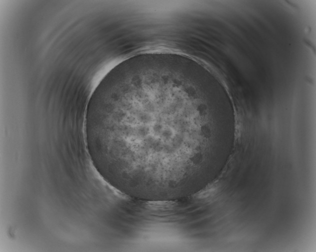 X0000103430863200809261729