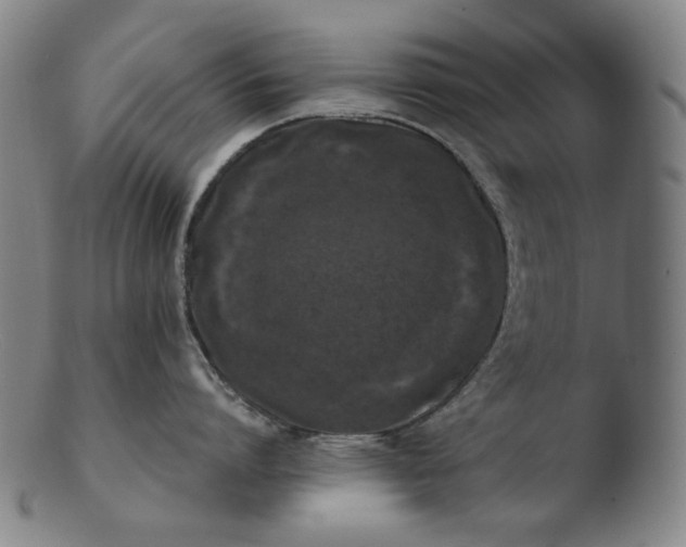 X0000103430864200809261729