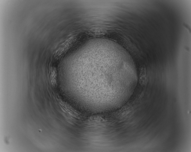 X0000103430866200809261728