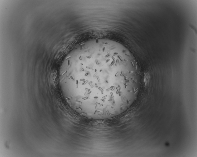 X0000103430867200809261728