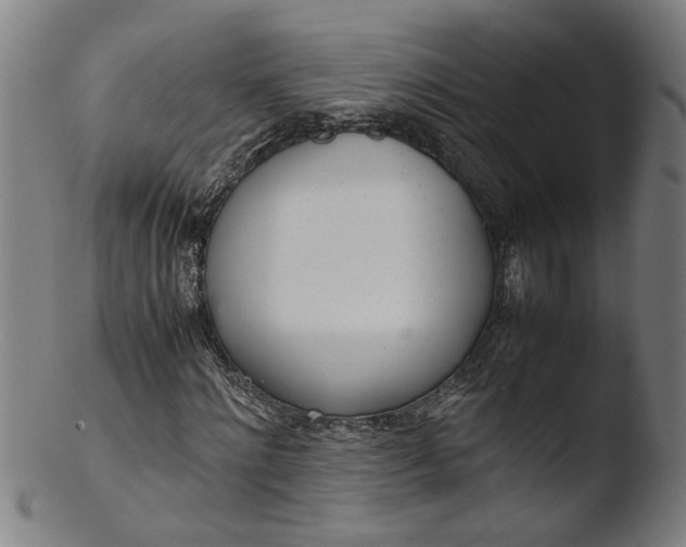 X0000103430868200809261728