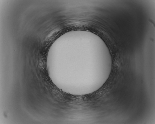 X0000103430869200809261728